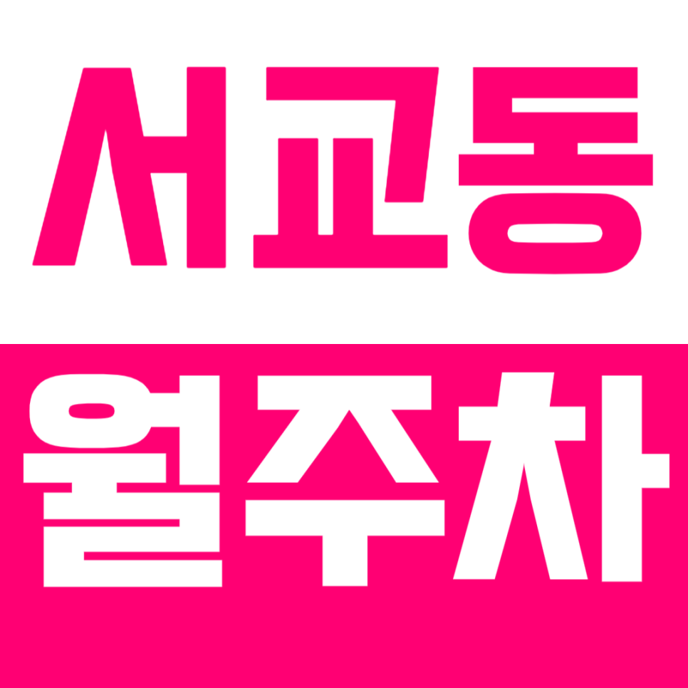 서교동 월주차, 망원역 도보 3분거리 24시간 연중무휴 주차장 추천 대표 이미지