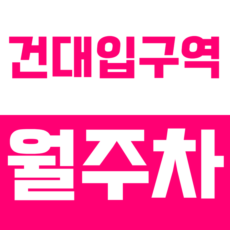 건대입구역 월주차, 건대입구역 6번출구 도보 2분거리 24시간 주차장 추천 대표 이미지