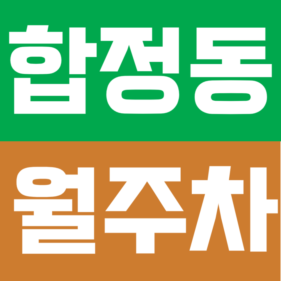 합정동 월주차 | 망원역·합정역 도보권! 24시간 자주식 주차장 추천 대표 이미지