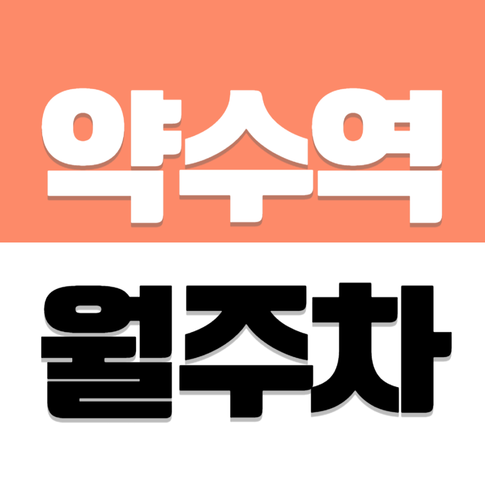 약수역 월주차 동국대 약수역 1번 출구 도보권 기계식 주차장 추천 대표 이미지