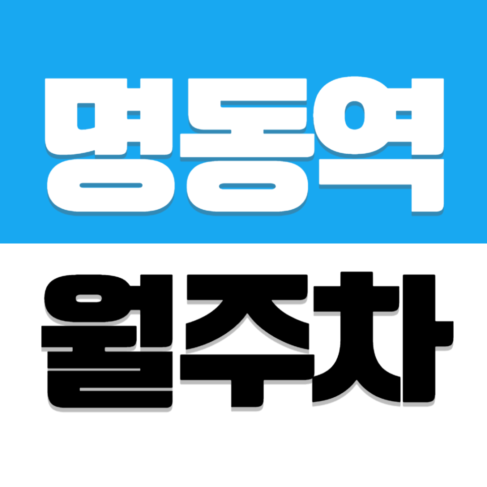 명동역 월주차 서울중앙우체국 근처 자주식 주차장 추천 대표 이미지