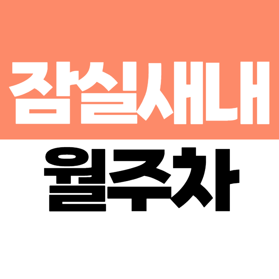 잠실새내역 월주차 | 기계식 승용차 가능한 월 정기주차장 대표 이미지
