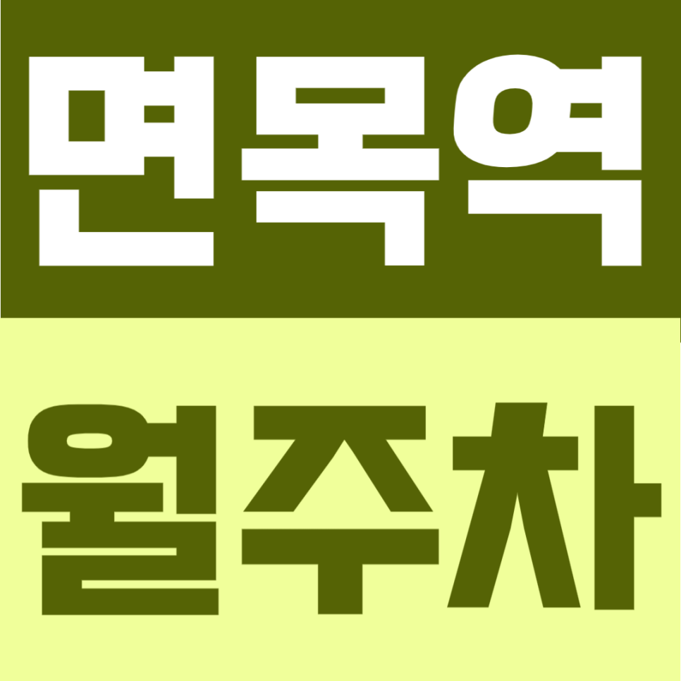 면목역 월주차 | 2번출구 바로 앞 도보 1분, RV까지 가능한 24시간 자주식 주차장 안내 대표 이미지