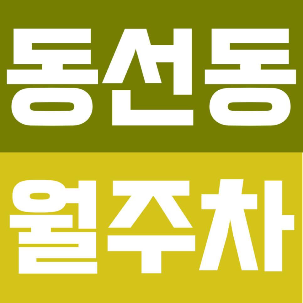 동선동 월주차 | 성신여대입구역 3분 초역세권! SUV도 가능한 문콕 걱정 없는 쾌적한 자주식 주차 대표 이미지
