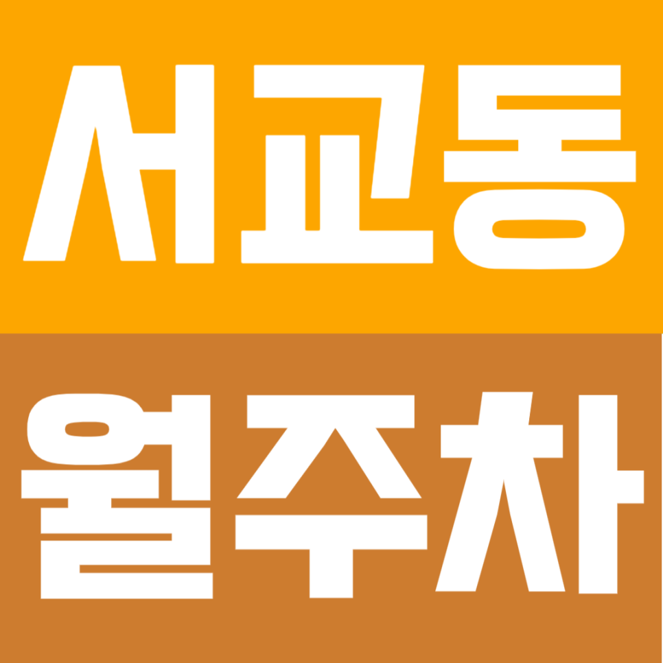 서교동 월주차 | "홍대·망원 주차 지옥 탈출" 망원역 24시간 자주식 단일 주차 명당 대표 이미지