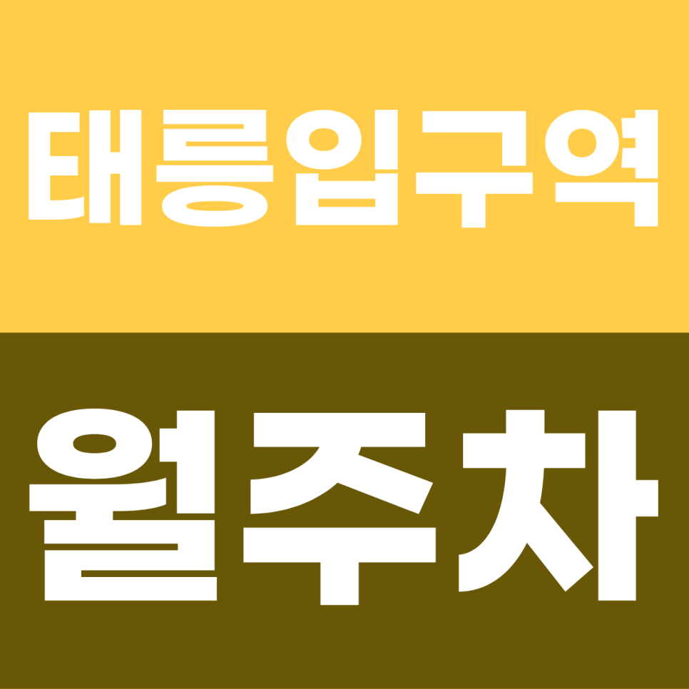 태릉입구역 월주차 | 공릉동 '문콕' 지옥 탈출! SUV도 거뜬한 100% 자주식 지정석 대표 이미지