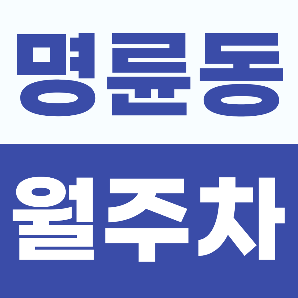 명륜동 주차장 | 성균관 선비들도 탐낼 명당! 혜화동 골목의 전설적인 내 차 지정석 대표 이미지