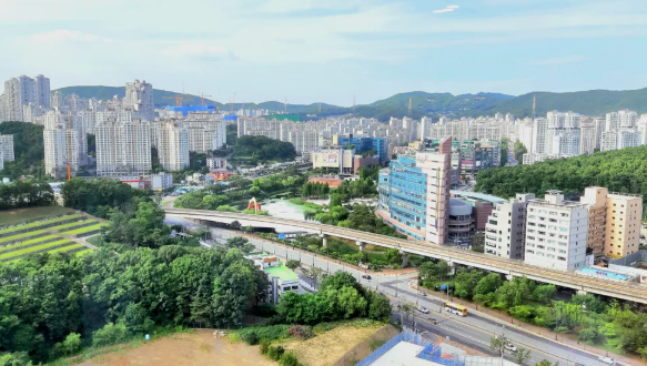 동백동 주차장 | 동백동 월정기권으로 복잡한 도심 한복판에서 마주하는 가장 확실하고 쾌적한 내 차의 안식처