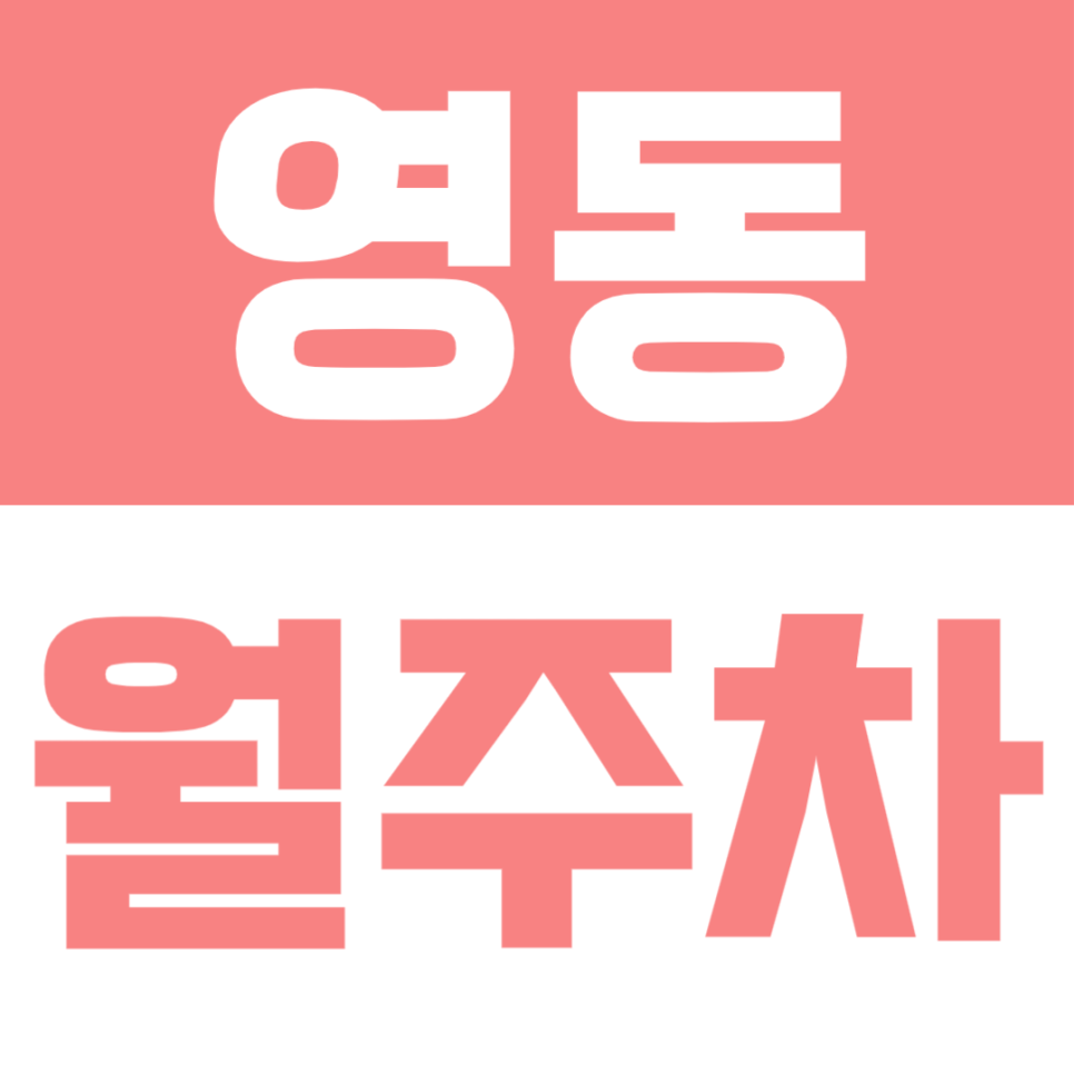 영동 월주차 | 안성명동거리 인근 퇴근 후 안심 주차! 월 2만원대 저렴한 주차장 선착순 대표 이미지