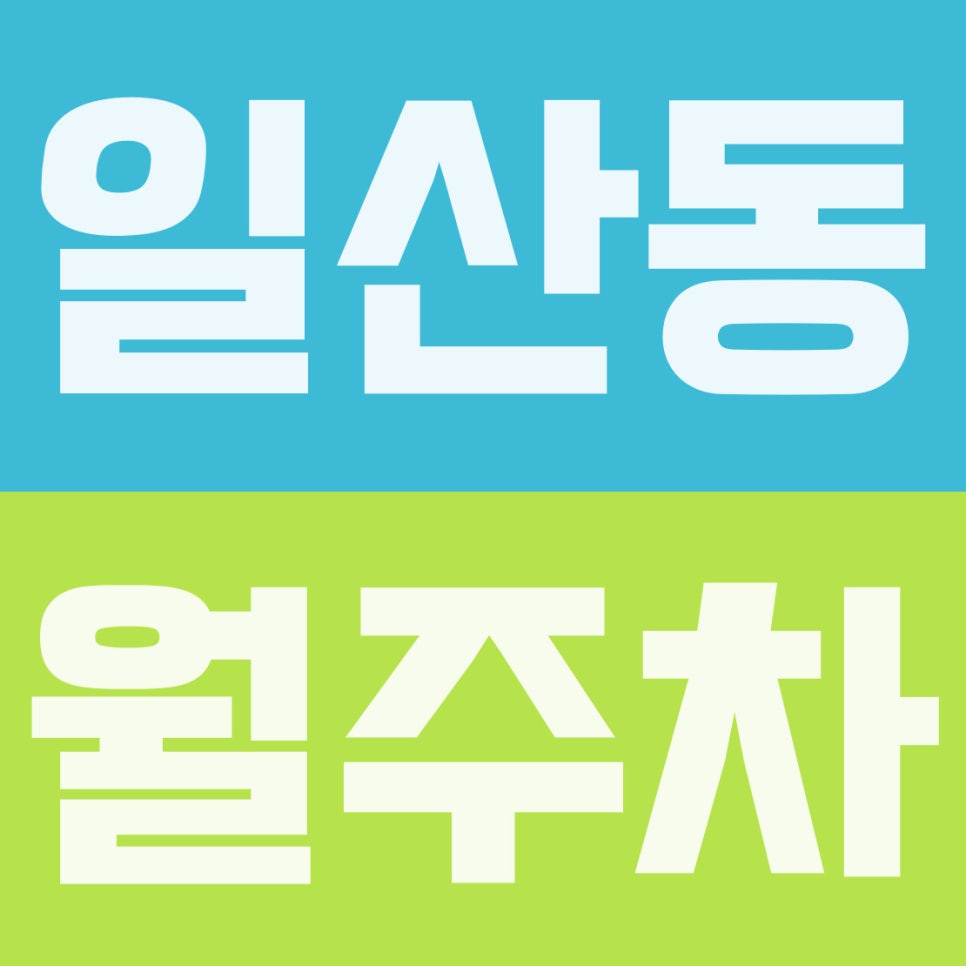 일산동 주차장 | 일산역·학원가 주차난 탈출! 일산중·고교 앞 10만 원대 24시 자주식 명당 대표 이미지