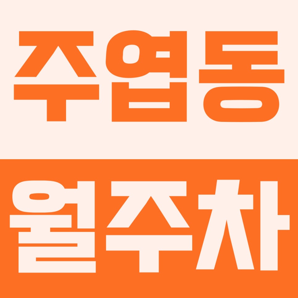 주엽동 주차장 | 주엽역 도보 7분! 2·5부제 주차 단속 걱정 없는 12만 원대 24시 자주식 명당 대표 이미지