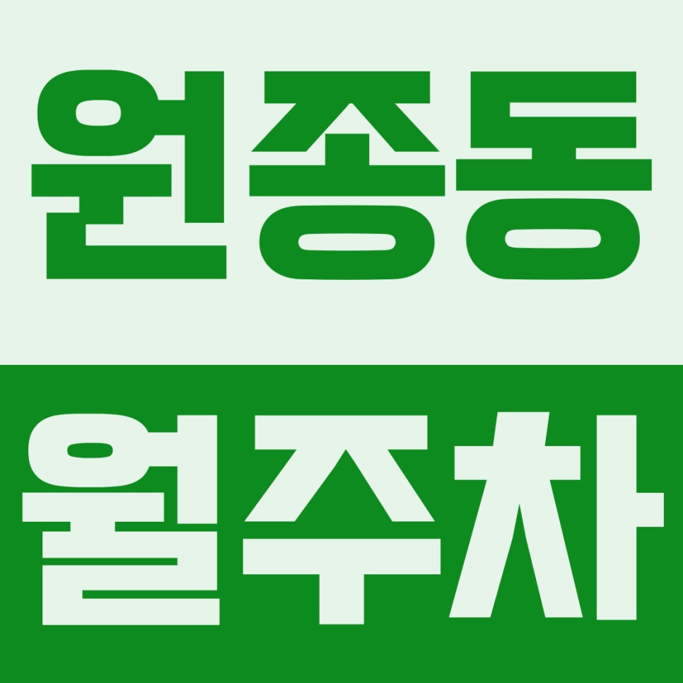 원종동 월주차 | 빌라촌 주차난 끝내는 스마트한 가성비 명당 대표 이미지