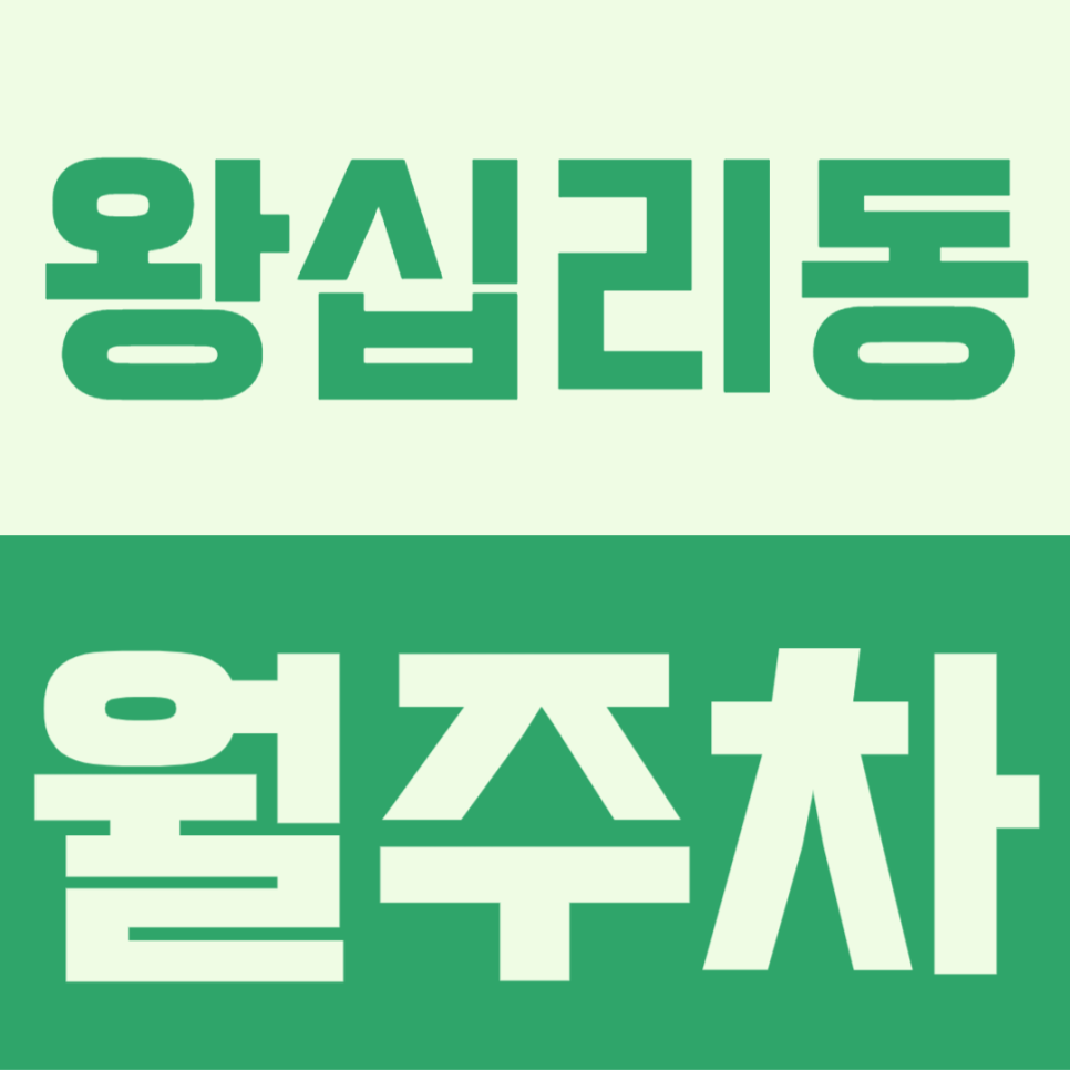 왕십리동 월주차ㅣ주차문제로 스트레스를 받고 있다면 클릭해서 해결해 보세요 대표 이미지