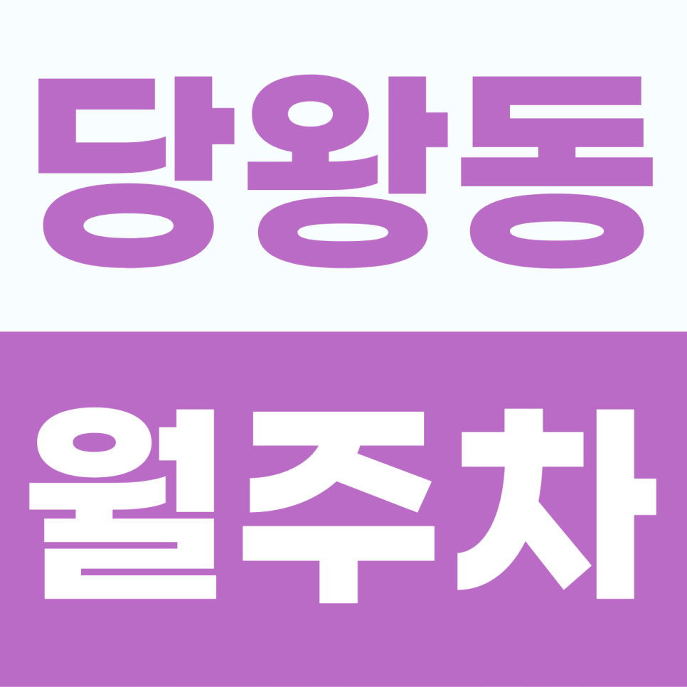 [2026] 안성 당왕동 월주차: 월 9만원대! 이중 주차 스트레스 없는 100% 자주식 단일 명당 (21524번) 대표 이미지