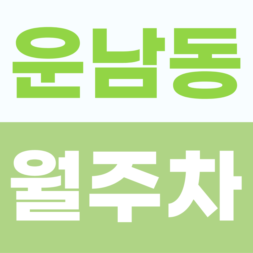 운남동 월주차, 아는 사람만 선점하는 운중로 인근 숨은 가성비 주차 명당 대표 이미지