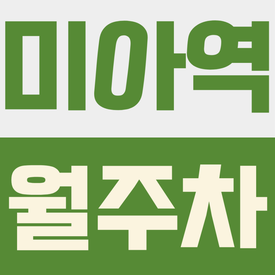 미아역 월주차ㅣ늦은 밤 귀가도 걱정 없는 24시간 365일 연중무휴 지정석 주차 명당 대표 이미지