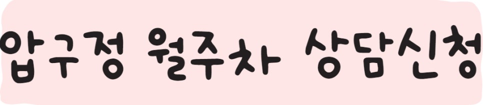 압구정 월주차 ㅣ월주차 구하기 힘든 압구정도 주만사!