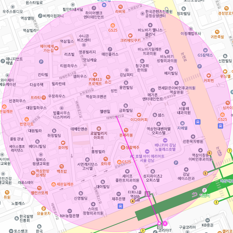 역삼역 월주차 [서울시 강남구 역삼동] 기러기 토마토 스위스 인도인 역삼역 우영우