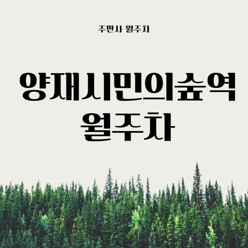 양재시민의숲역 월주차 _ 양재동에서 주차장 필요하시면 정답입니다! 대표 이미지