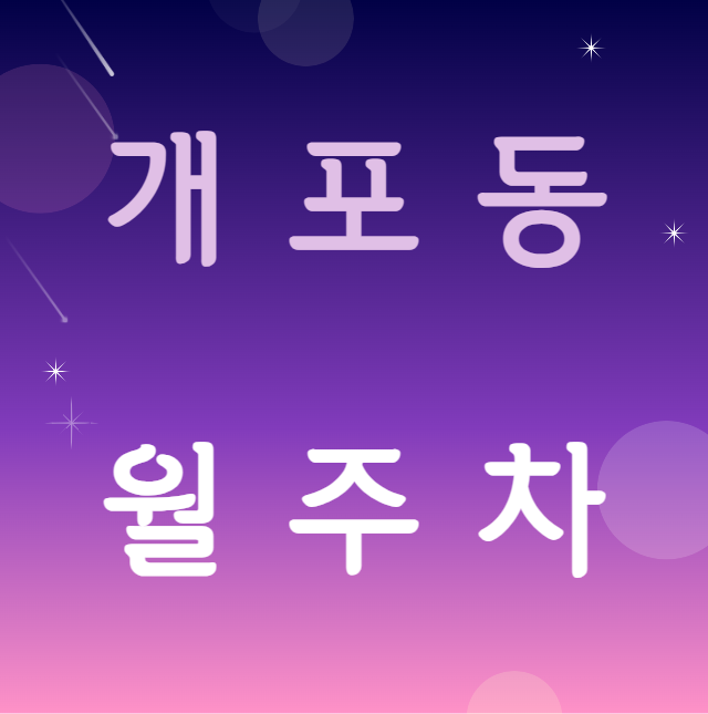 개포동 월주차 / 개포동역 6번출구 도보3분, 인근 마지막 단일주차장 대표 이미지
