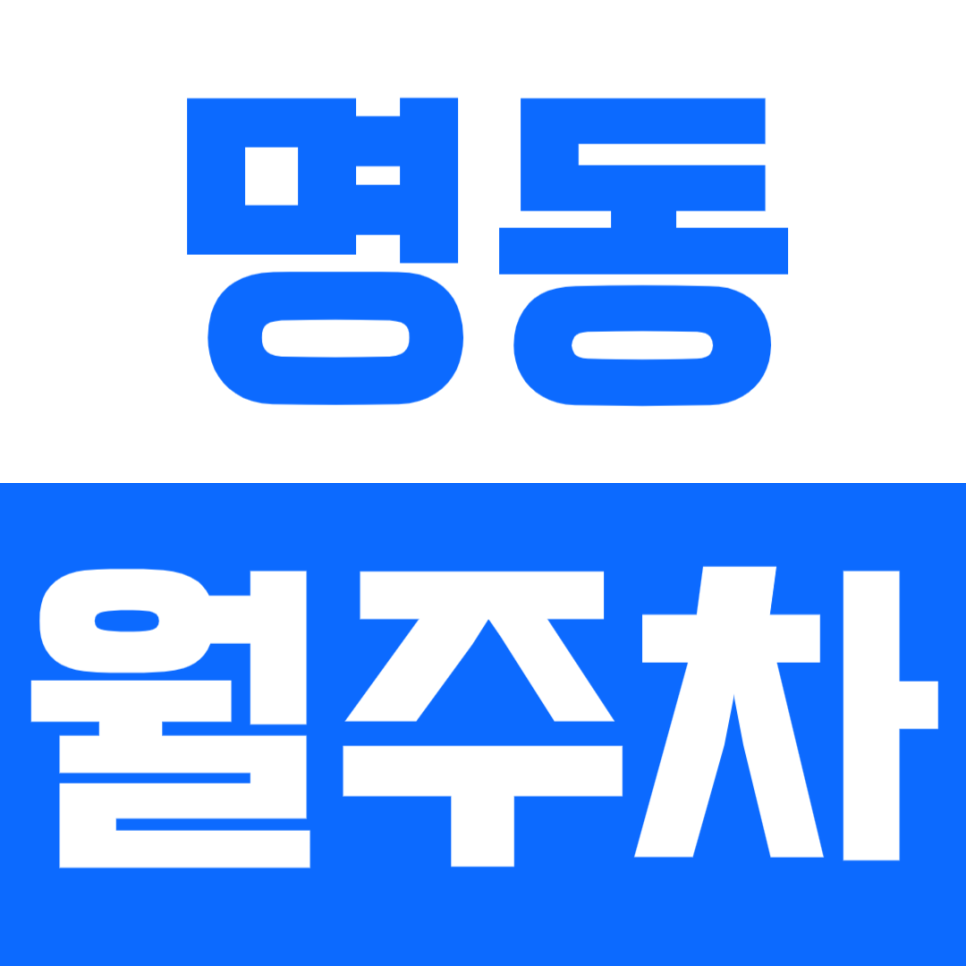 명동 월주차_*직장인 추천* 을지로입구역/청계천 인근 월주차 이용하기! 대표 이미지