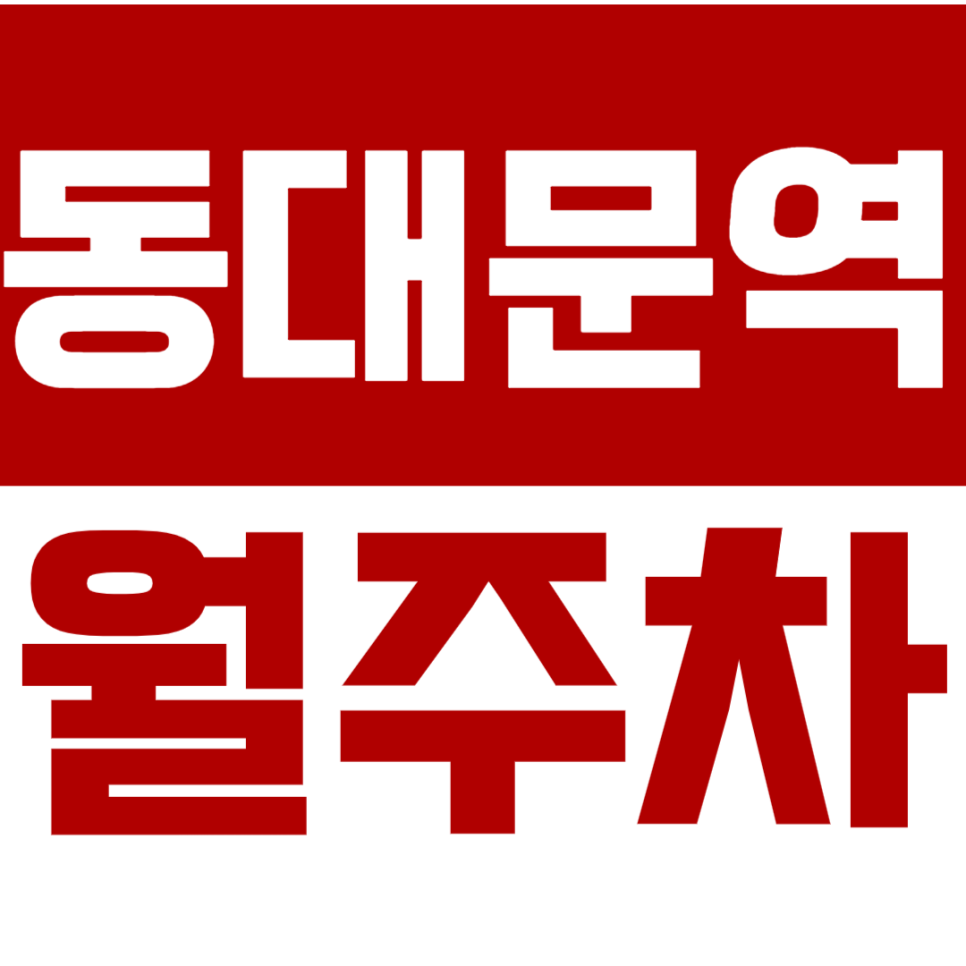 동대문역 월주차_두타몰ㅣ평화시장 인근 장기 월주차 어렵지 않아요! 대표 이미지