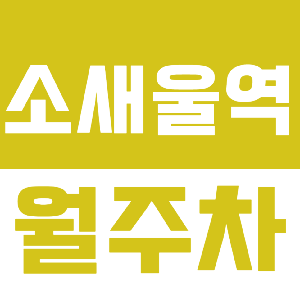 소새울역 월주차_역세권 주차장이 이런 가격으로 이용이 가능하구나! 대표 이미지