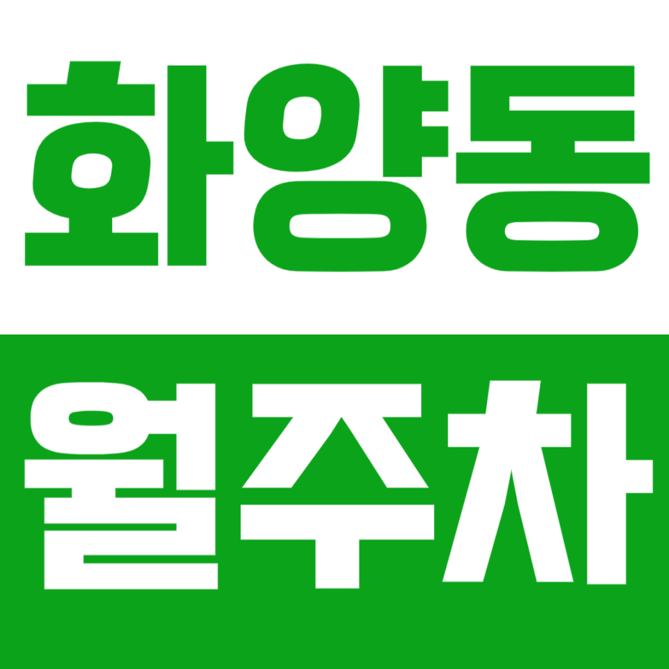 화양동 월주차_세종대, 어린이대공원 인근 기계식 월주차로 편리함 높이기! 대표 이미지