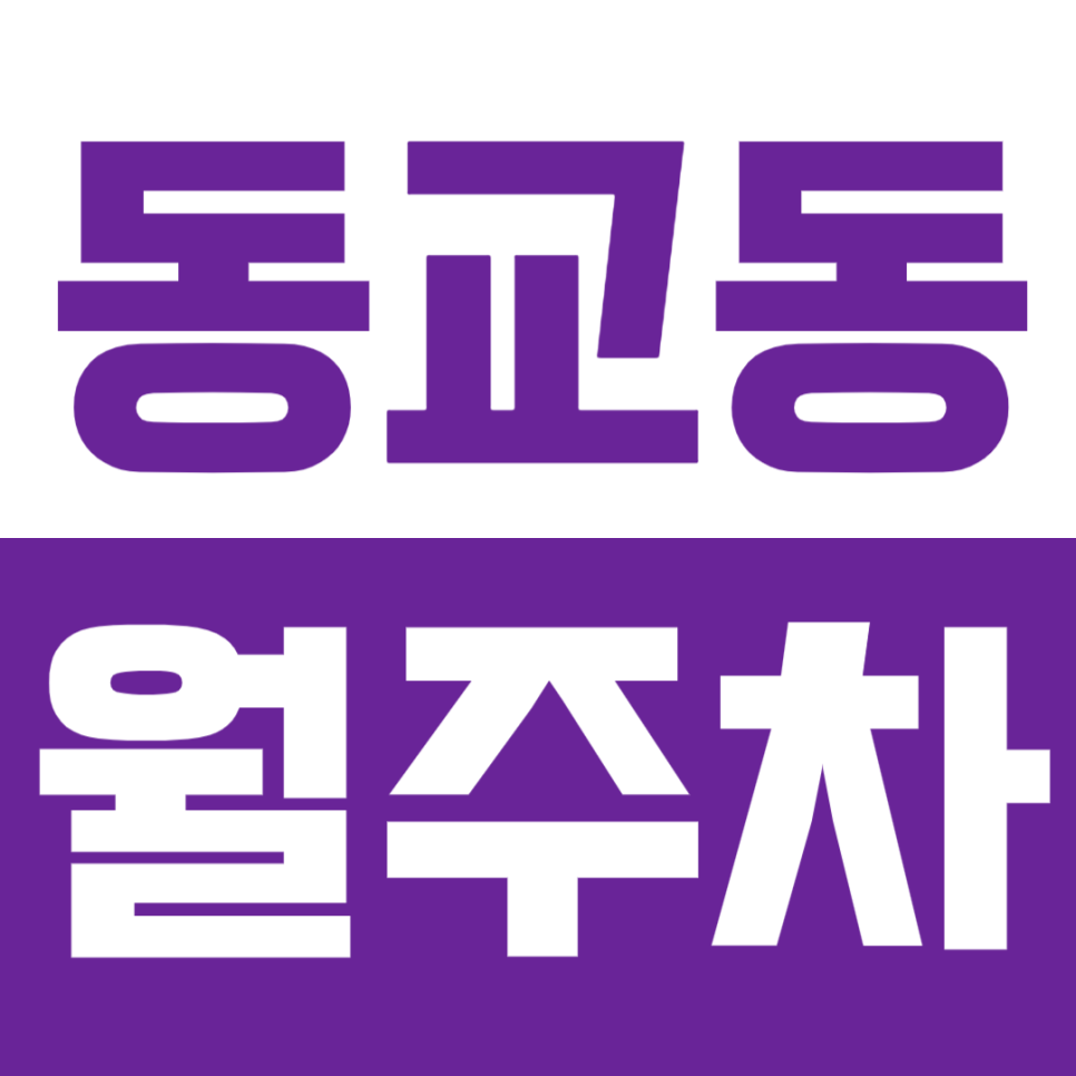 동교동 월주차_홍대입구역 1번출구 인근 주차장 추천 대표 이미지