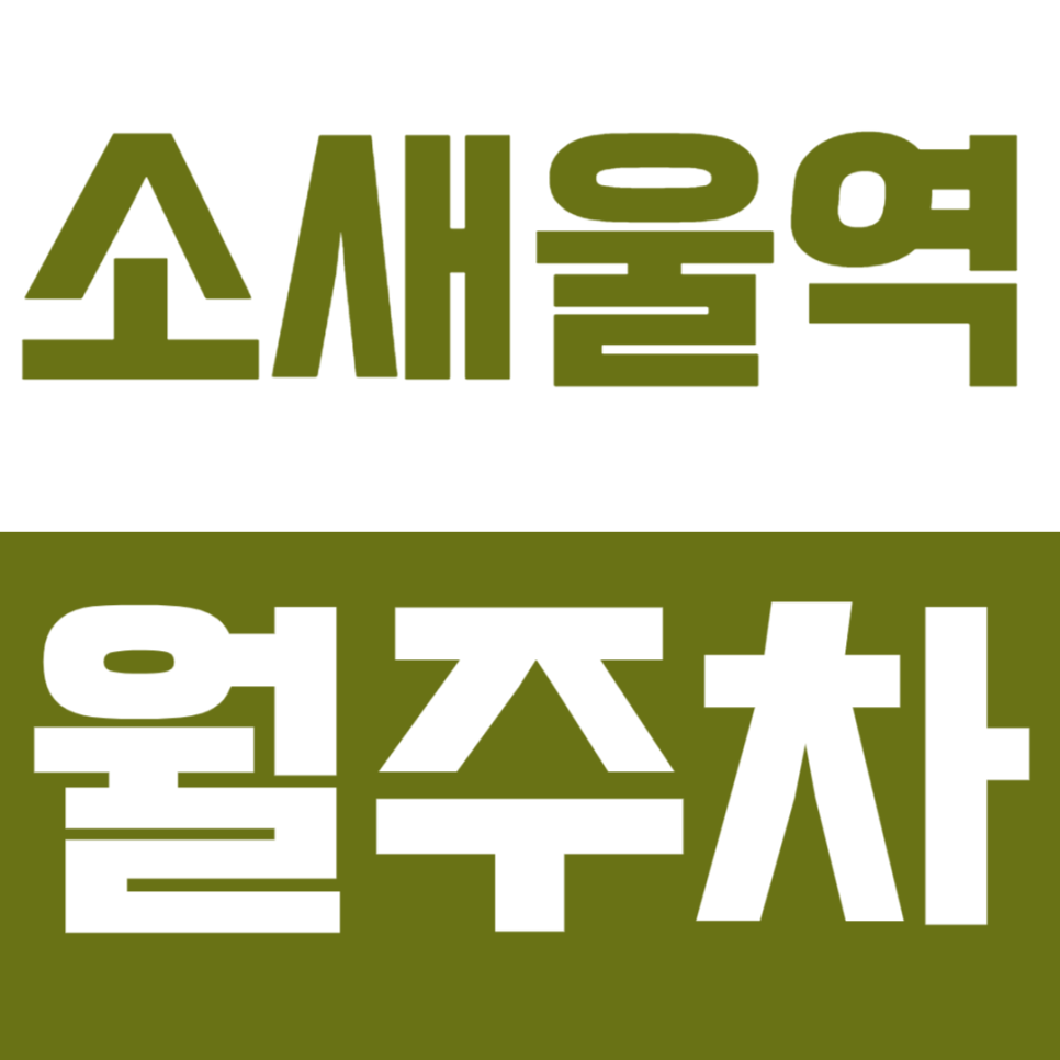 소새울역 월주차_역세권 24시간 주차장을 쉽게 이용하는 방법 대표 이미지