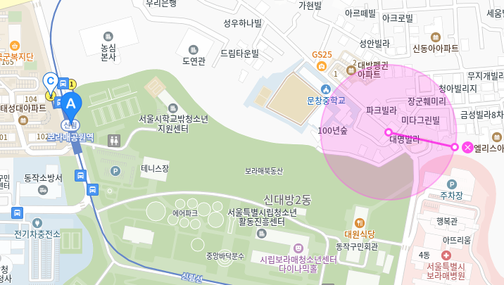 보라매공원역 월주차_보라매공원과 병원 사이에 위치한 월주차장 소개