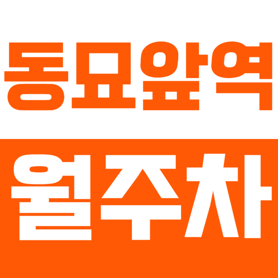 동묘앞역 월주차 동묘앞역 초역세권 월주차장으로 주차 문제 해결 대표 이미지