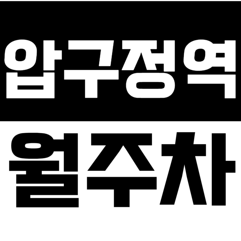 압구정역 월주차 압구정로데오거리 도보 10분이내 주차장 정기권으로 주차 문제 해결 대표 이미지
