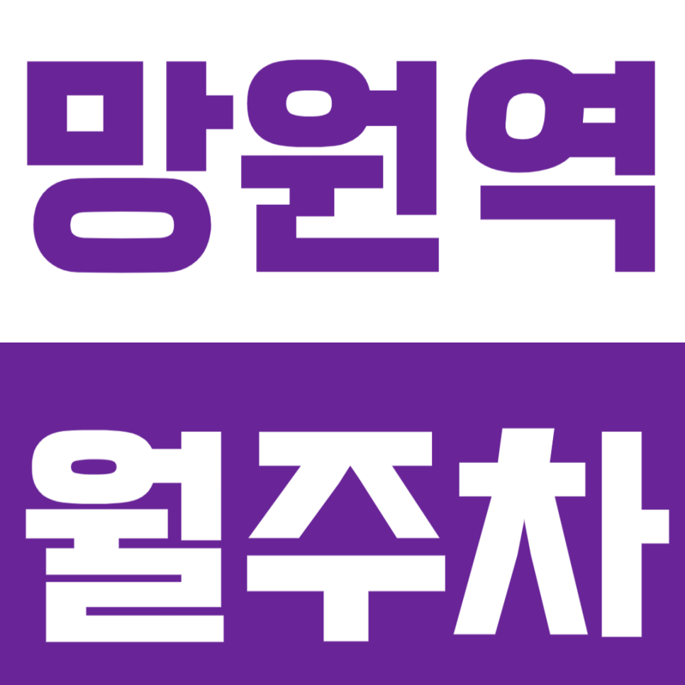 망원역 월주차 망원역 인근 24시간 월정기 주차권으로 주차난에서 살아남기 대표 이미지