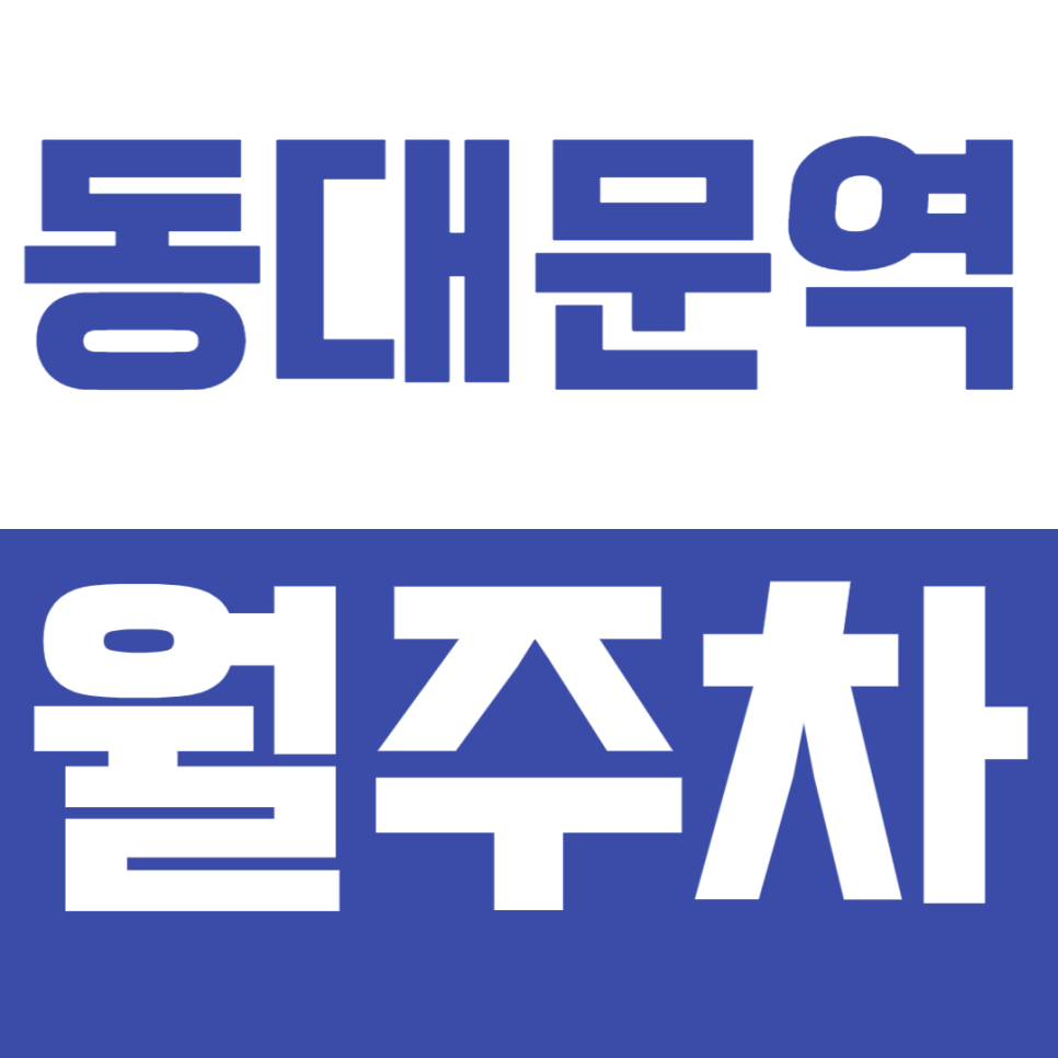 동대문역 월주차 동대문역 인근, DDP 근처 주차 정기권으로 주차 문제 해결 대표 이미지