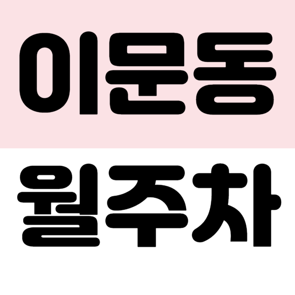 이문동 월주차 외대앞 24시간 운영 가성비 주차장 추천 대표 이미지