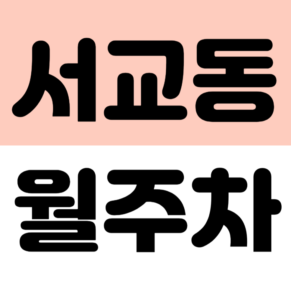 서교동 월주차 신규 매물 추천! 홍대입구역 사거리 인근 자주식 주차장 대표 이미지
