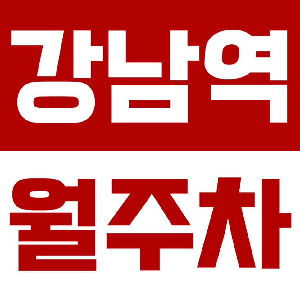 강남역 월주차 | 8번출구 도보 5분! 24시간 이용 가능한 안정적 정기 주차장🚘 대표 이미지
