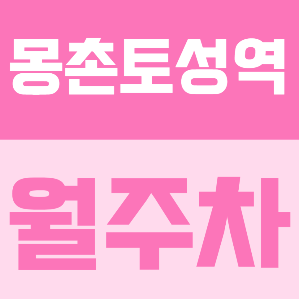 몽촌토성역 월주차 | 도보 3분 역세권의 월 10만원대 합리적인 정기주차 안내 대표 이미지