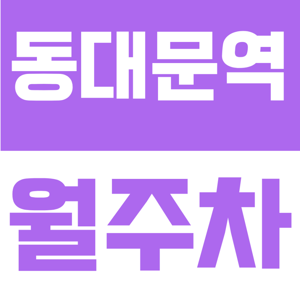 동대문역 월주차 | "시장통 주차 스트레스 끝" 역 3분 거리, 24시간 자주식 단일 주차 대표 이미지