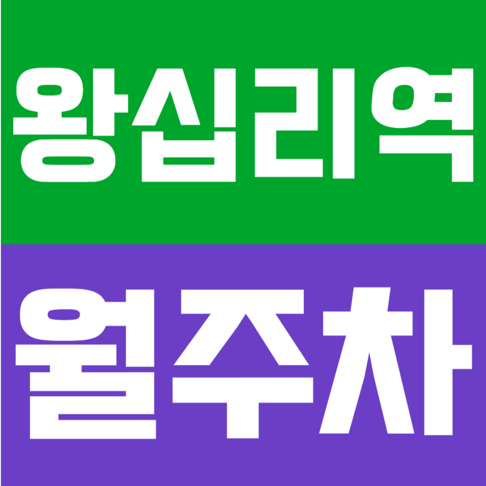 왕십리역 월주차 | 도보 2분 초역세권 가성비 주차장 vs 공영주차장 완벽 비교 🚗 대표 이미지