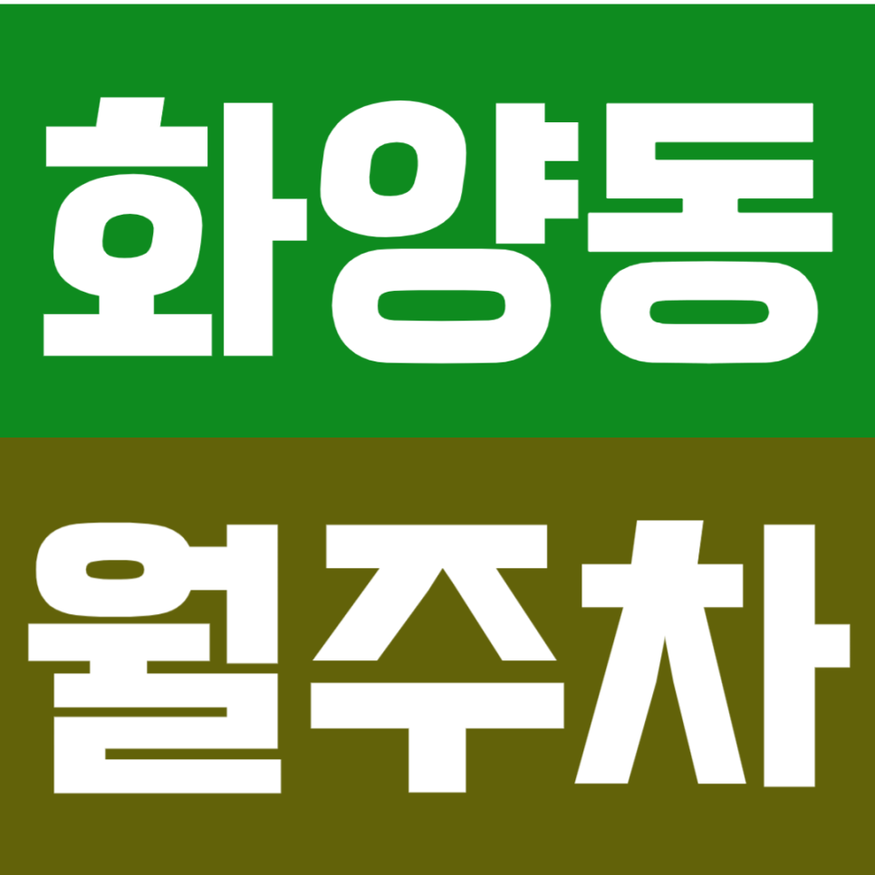 화양동 월주차 | 어린이대공원역 초역세권   월 9만원대 가성비 다 가진 정기주차장! 대표 이미지