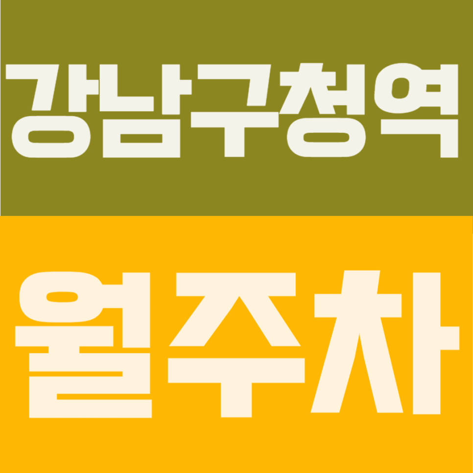 강남구청역 월주차｜강남구청역 발렛 서비스로 시간 아끼는 초역세권 세단 전용석, 이거 놓치면 무조건 후회! 대표 이미지