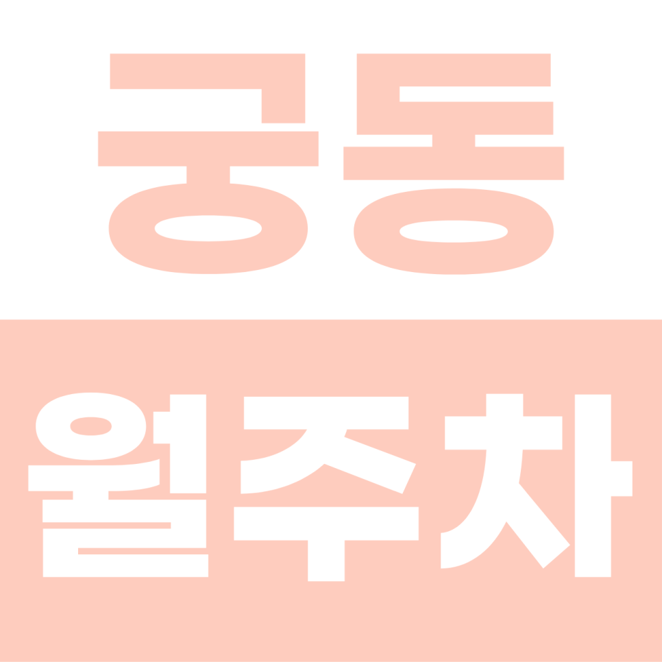 궁동 월주차 | 구로의 밤을 지키는 6만 원의 기적! 1톤 트럭도 넉넉한 야간 전용 자주식 명당 대표 이미지