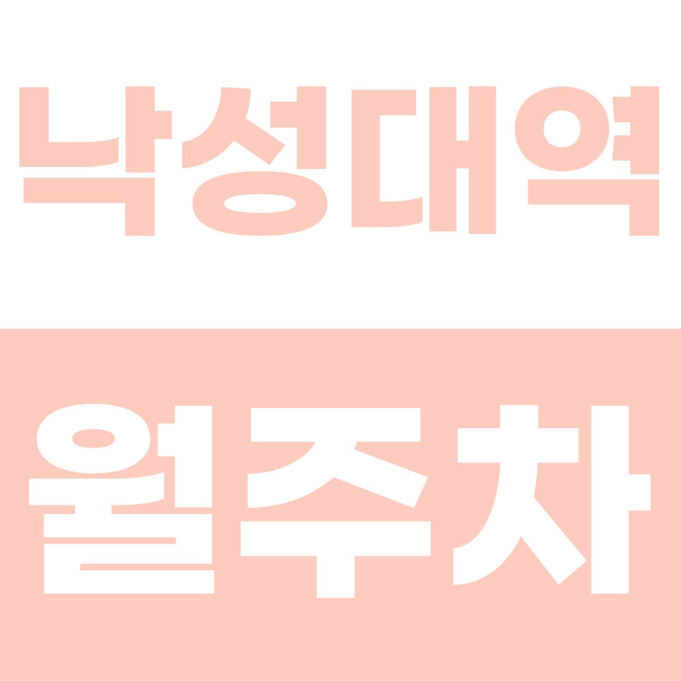 낙성대역 월주차 | 샤로수길 인근에서 찾은 SUV도 반가운 가성비 자주식 명당 대표 이미지