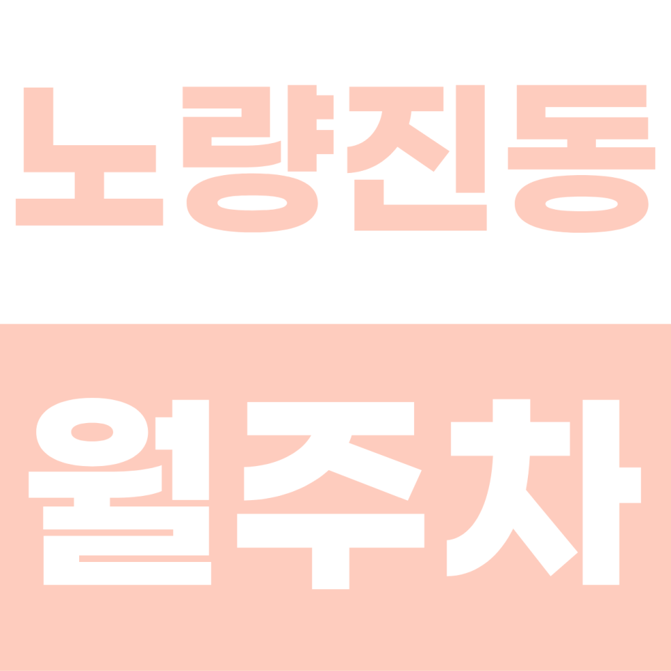 노량진동 월주차 | 수험생과 직장인의 주차 스트레스 합격! 소·중형 세단 전용 안심 기계식 명당 대표 이미지