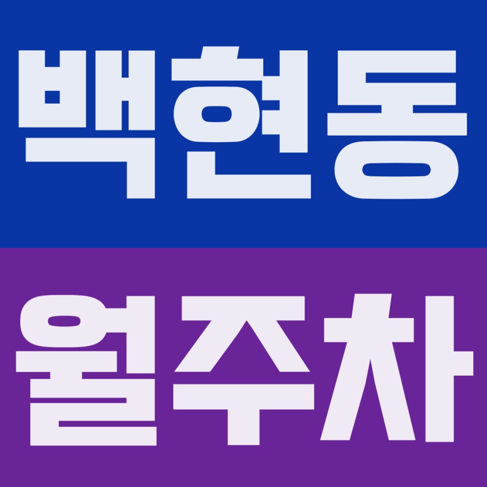 백현동 월주차 | 판교·성남역 주차비는 비싸다? 평일 자주식 명당