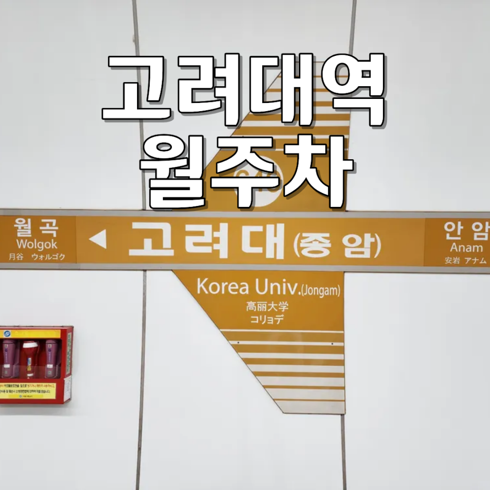 고려대역 월주차ㅣ월 10만 원대로 SUV까지 완벽! 안암동 역세권 24시 자주식 월정기 주차 대표 이미지