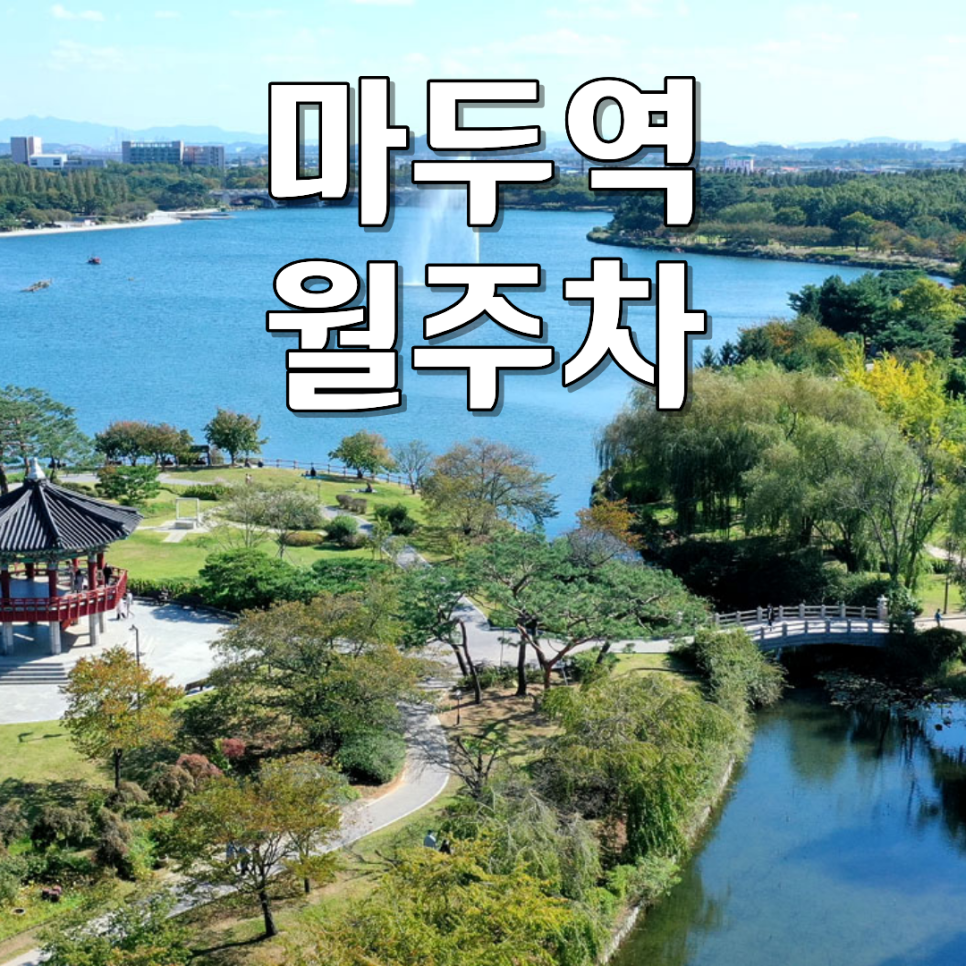 마두역 월주차ㅣ호수공원·정발산 인근 주차 걱정 끝! 월 66,000원 24시 연중무휴 주차장 대표 이미지