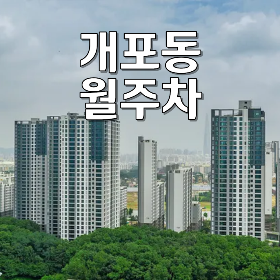 개포동 월주차ㅣ24시간 이용 가능한 100% 자주식 단일주차장 정보 대표 이미지